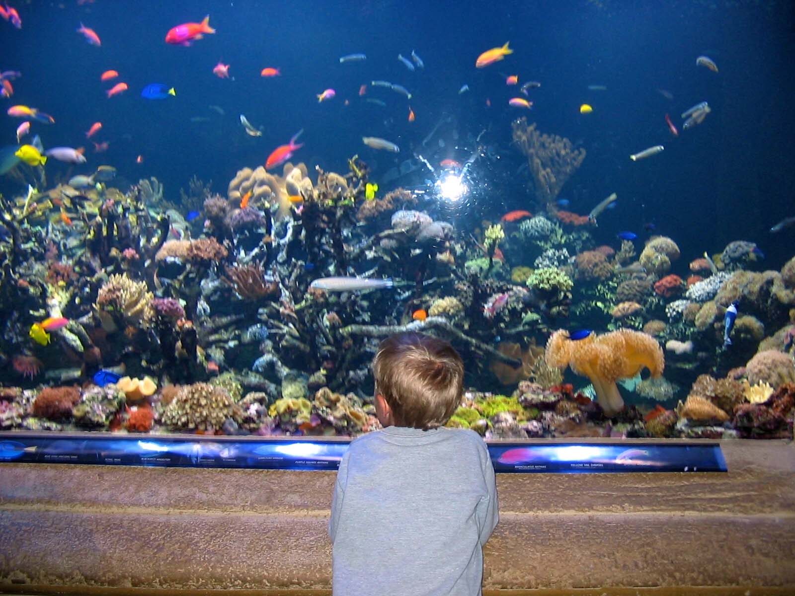 Long Island Aquarium 